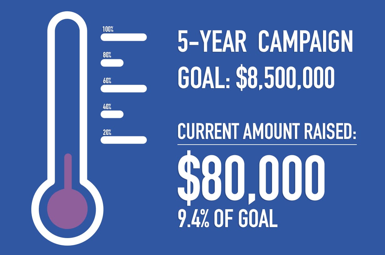 HIA Campaign Goal - 80,000 - 9.7percent-min HIA Campaign Goal - 80,000 - 9.7percent-min
