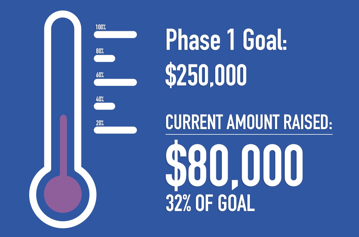 HIA Campaign Goal - 32 PERCENT OF PHASE 1 HIA Campaign Goal - 32 PERCENT OF PHASE 1